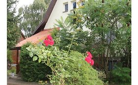 Apartament Leśny