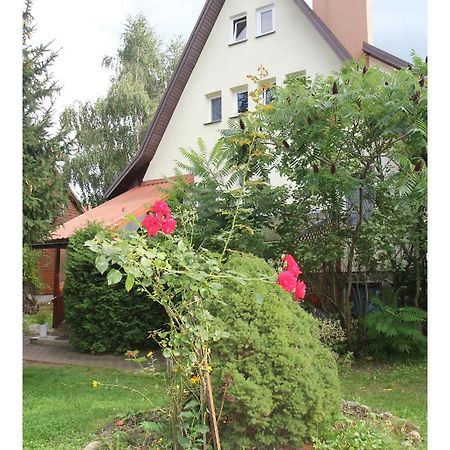 Apartament Leśny Supraśl Zewnętrze zdjęcie