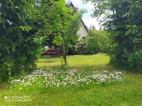 Apartament Leśny Supraśl Zewnętrze zdjęcie