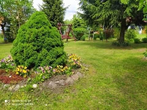 Apartament Leśny Supraśl Zewnętrze zdjęcie